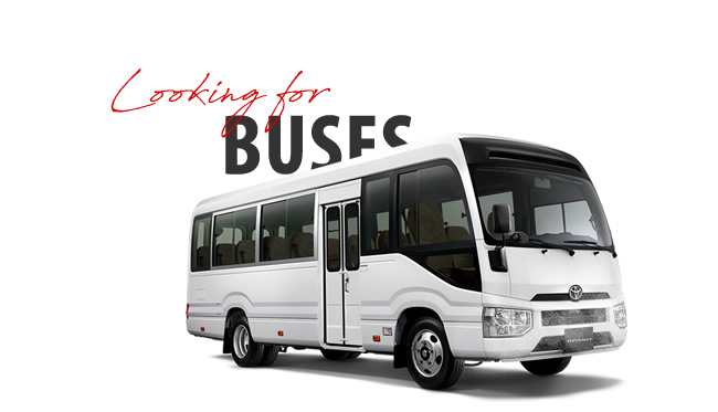 Stock bus, passenger transport, Bus and mini-bus export Africa best prices